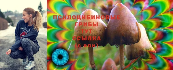 шишки Балабаново