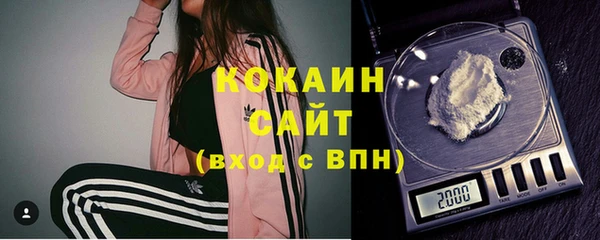 шишки Балабаново